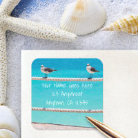 Dirección de retorno fotográfico de aves de playa