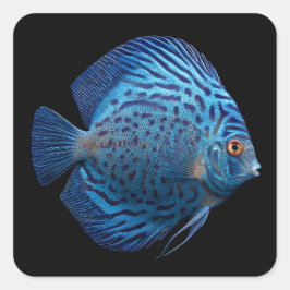 Pegatina Cuadrada Discus Fish