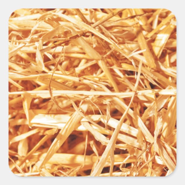 Pegatina Cuadrada Diseño abstracto de paja (Anverso)