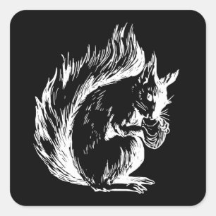 Pegatina Cuadrada Diseño de ardilla en blanco y negro