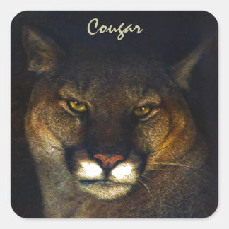 Pegatina Cuadrada Diseño de arte de leones de la montaña Big Cat Cou
