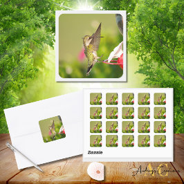 Pegatina Cuadrada Diseño de colibrí #108A0604