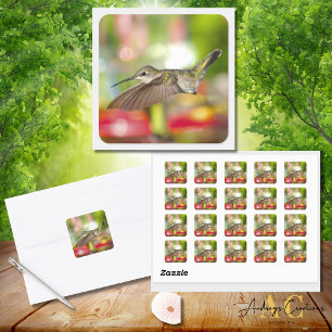 Pegatina Cuadrada Diseño de Colibrí Garganta de Rubí #118592