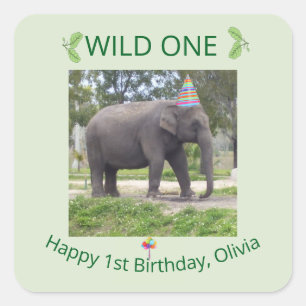 Pegatina Cuadrada Diseño de cumpleaños de elefante salvaje