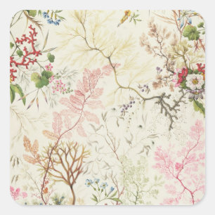 Pegatina Cuadrada Diseño de la alga marina para el material de seda