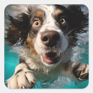 Pegatina Cuadrada Diseño de perro emocionado nadando bajo el agua