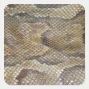 Pegatina Cuadrada Diseño de piel de serpiente