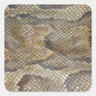 Pegatina Cuadrada Diseño de piel de serpiente