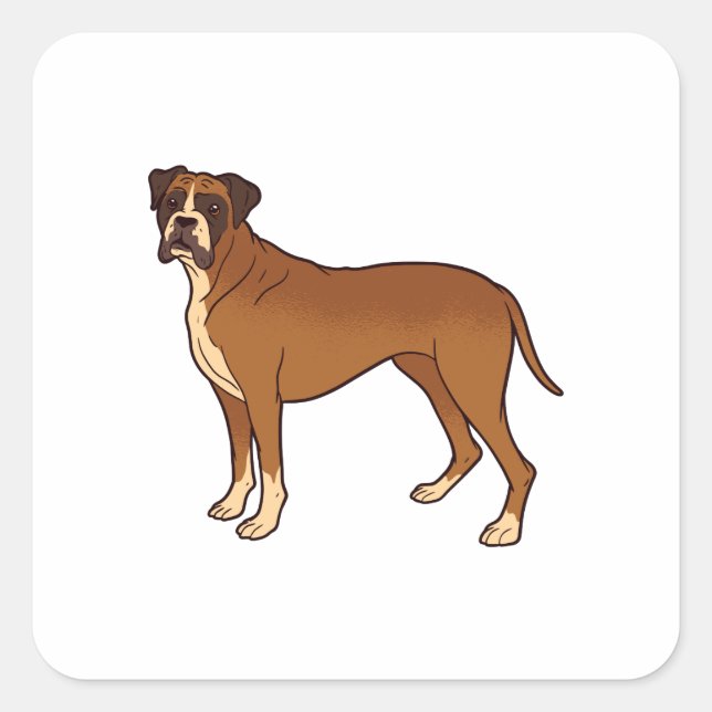 Pegatina Cuadrada Diseño de Raza de Perro Bonito Marrón Boxer (Anverso)