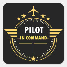 Diseño de taza para piloto de aviación personaliza