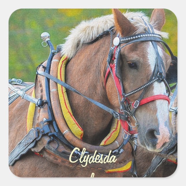 Pegatina Cuadrada Diseño equino de amante de los caballos (Anverso)