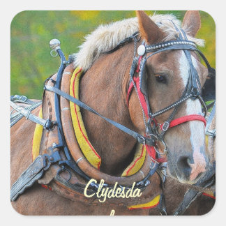 Pegatina Cuadrada Diseño equino de amante de los caballos