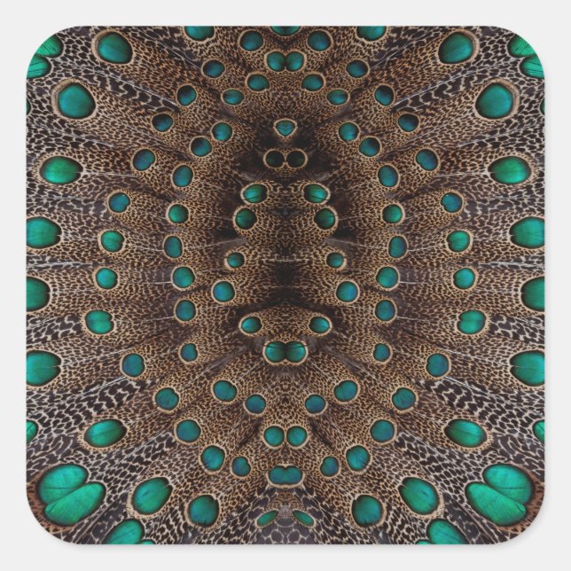 Pegatina Cuadrada Diseño Fractal de Pluma de Faisán (Anverso)