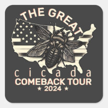 Diseño Gráfico Cicada Comeback Tour 2024