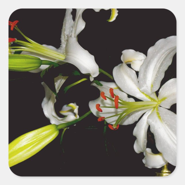 Pegatina Cuadrada Diseño irlandés - Colección de bronce y flores (Anverso)