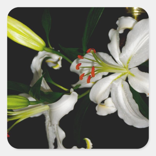 Pegatina Cuadrada Diseño irlandés - Colección de flores (Anverso)