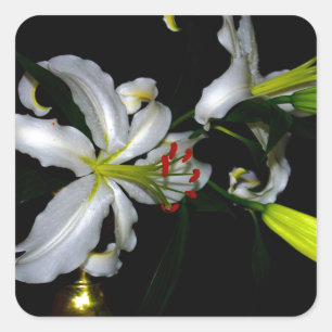 Pegatina Cuadrada Diseño irlandés de Brass y Flores