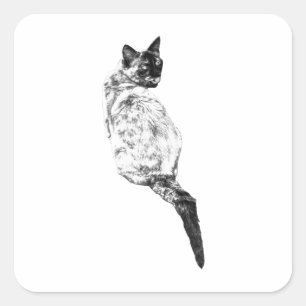 Pegatina Cuadrada Diseño sereno de aseo de gato