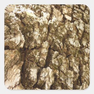 Pegatina Cuadrada Diseño texturizado natural de la barra de árbol II