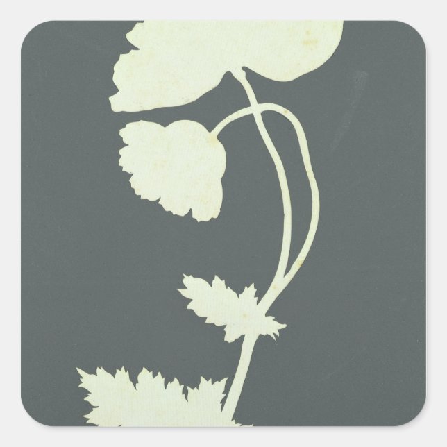 Pegatina Cuadrada Disparo (Anverso)