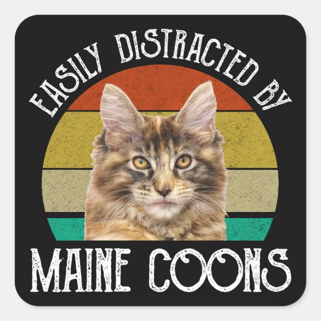 Pegatina Cuadrada Distraído Fácilmente Por Maine Coons (Anverso)