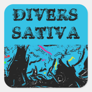 PEGATINA CUADRADA DIVERS SATIVA