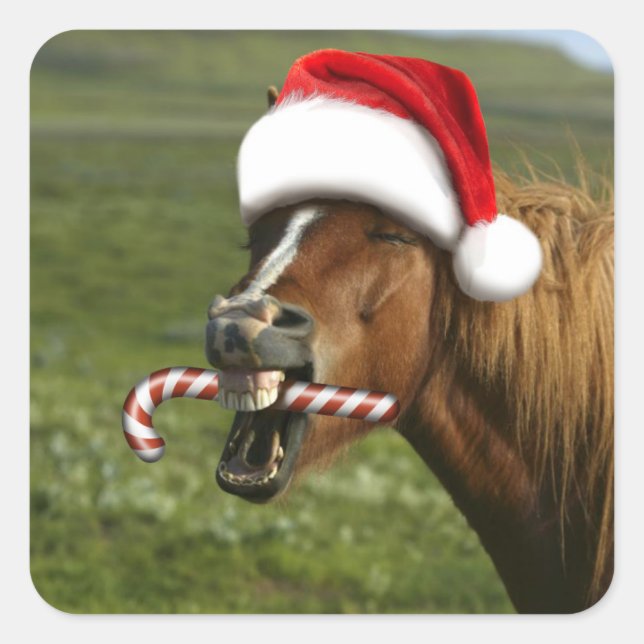 Pegatina Cuadrada Divertido caballo de Navidades con sombrero Santa  (Anverso)