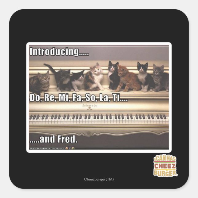 Pegatina Cuadrada Do, Re, Mi, Fa, So, La, Ti, Fred (Anverso)