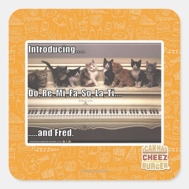 Pegatina Cuadrada Do, Re, Mi, Fa, So, La, Ti, Fred (Anverso)