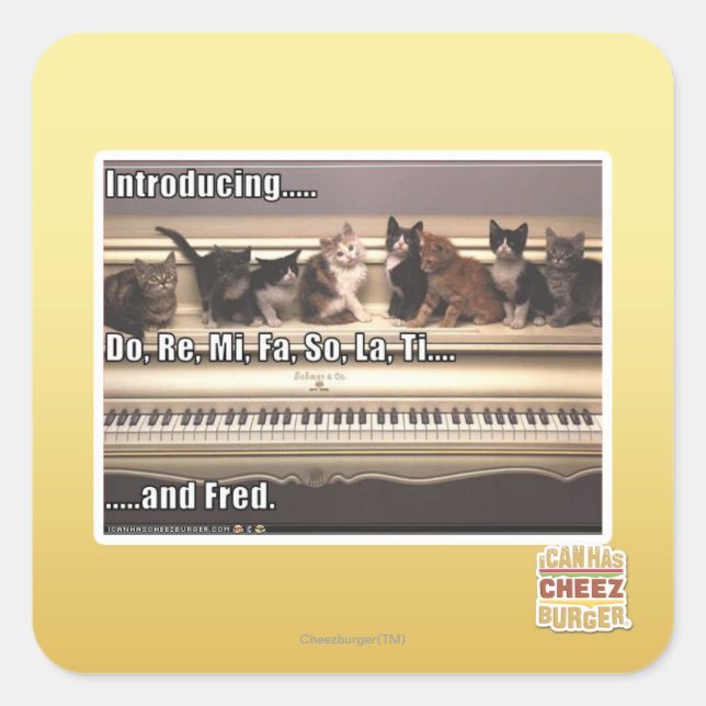 Pegatina Cuadrada Do, Re, Mi, Fa, So, La, Ti, Fred (Anverso)