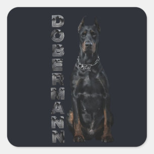 Pegatina Cuadrada Doberman Pinscher
