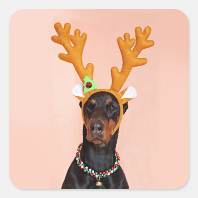 Pegatina Cuadrada Doberman with Horns of a Deer (Anverso)
