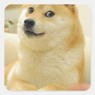 Pegatina Cuadrada Doge