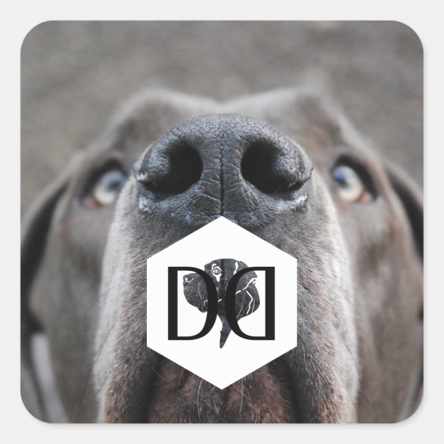 Pegatina Cuadrada Doggenzucht Aufkleber (Anverso)