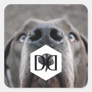 Pegatina Cuadrada Doggenzucht Aufkleber