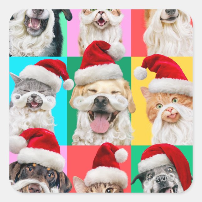 Pegatina Cuadrada Dogs and Cats with Santa Beard (Anverso)