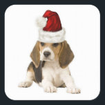 Pegatina Cuadrada Dogs~Original Ditzy Sticker~Beagle~Christmas<br><div class="desc">Dogs~Original Ditzy Sticker~Beagle~Christmas</div>
