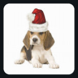 Pegatina Cuadrada Dogs~Original Ditzy Sticker~Beagle~Christmas<br><div class="desc">Dogs~Original Ditzy Sticker~Beagle~Christmas</div>