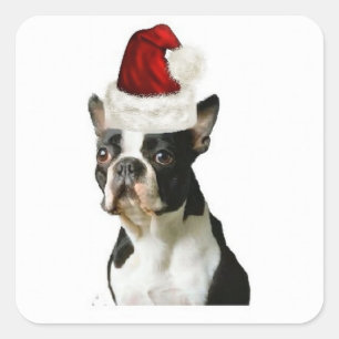 Pegatina Cuadrada Dogs~Original Ditzy Sticker~Boston Terrier