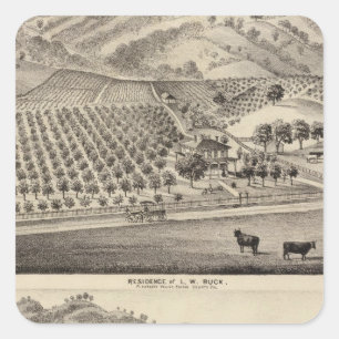 Pegatina Cuadrada Dólar res, granja del Bunker Hill