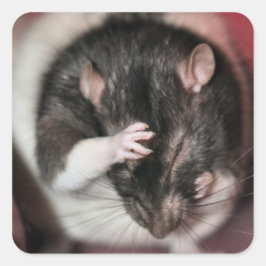 Pegatina Cuadrada ¡Dolor de cabeza!