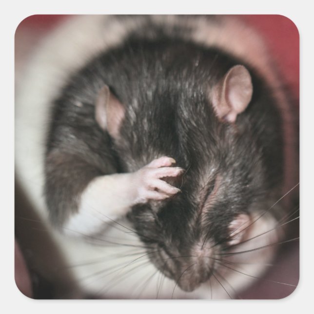 Pegatina Cuadrada ¡Dolor de cabeza! (Anverso)