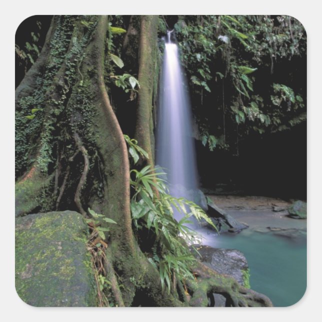 Pegatina Cuadrada Dominica, Estanque Esmeralda, Cascada. (Anverso)