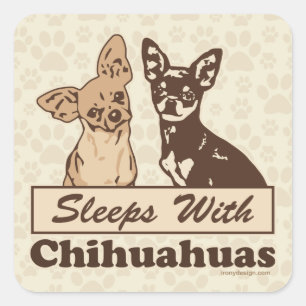 Pegatina Cuadrada Dormir Con Chihuahuas