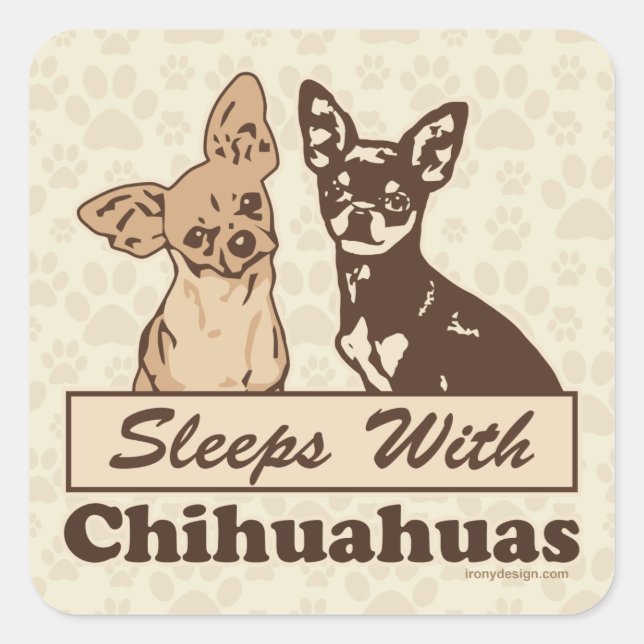 Pegatina Cuadrada Dormir Con Chihuahuas (Anverso)