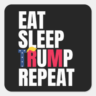 Pegatina Cuadrada Dormir Trump Repetir la reelección del presidente