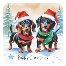 Dos adorables cachorros de dachshund perro de masc