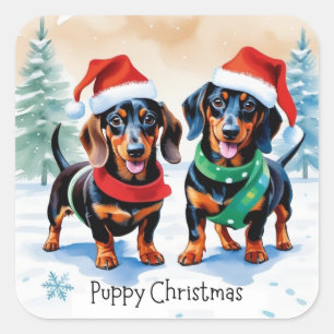 Pegatina Cuadrada Dos adorables cachorros de dachshund perro de masc