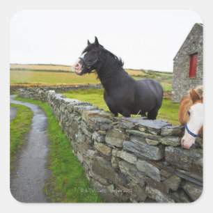 Pegatina Cuadrada Dos caballos en granja en la Inglaterra rural