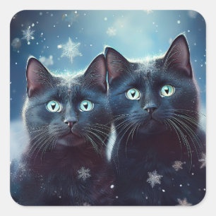 Pegatina Cuadrada Dos gatos negros que se nivelan
